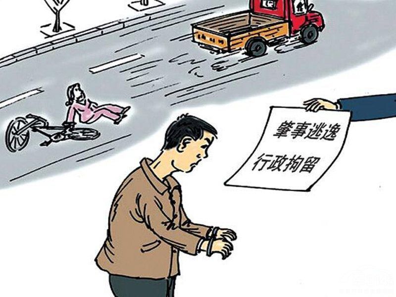 肇事逃逸處罰標(biāo)準(zhǔn)最新解讀，深入了解，開啟心靈之旅