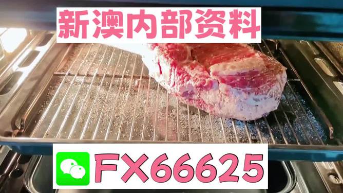 新澳2024年精準(zhǔn)正版資料,動態(tài)詞語解析_兼容版MAW185.93