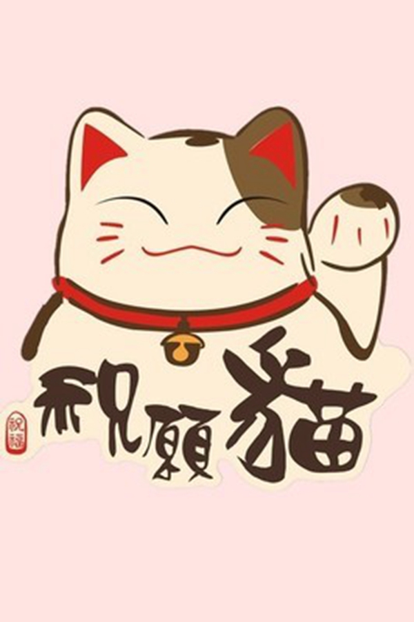 聚財貓最新動態(tài)，平臺發(fā)展、創(chuàng)新與行業(yè)動態(tài)今日揭秘