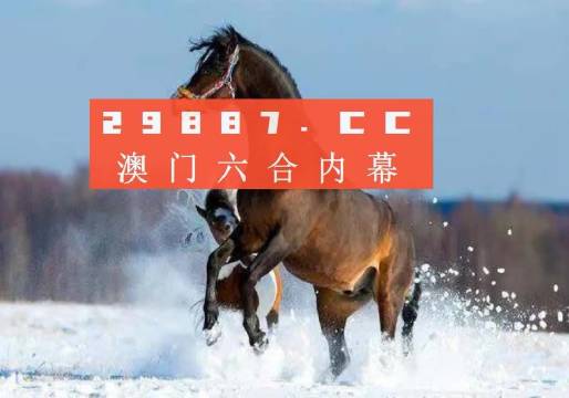 澳門(mén)今晚一肖必中，深度解析中級(jí)版ZKA915.1