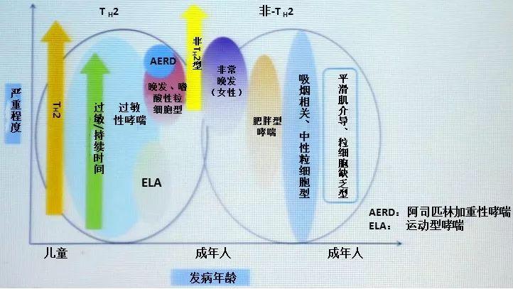 治療哮喘病的最新藥物指南，探索最新藥物與療法