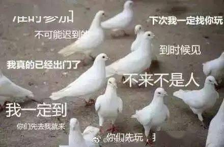 天鴿科技新品震撼登場，引領(lǐng)未來生活新潮流的最新消息