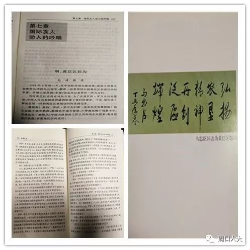 2024澳新詳實資料匯編，權(quán)威解讀_復(fù)古版EVY281.24