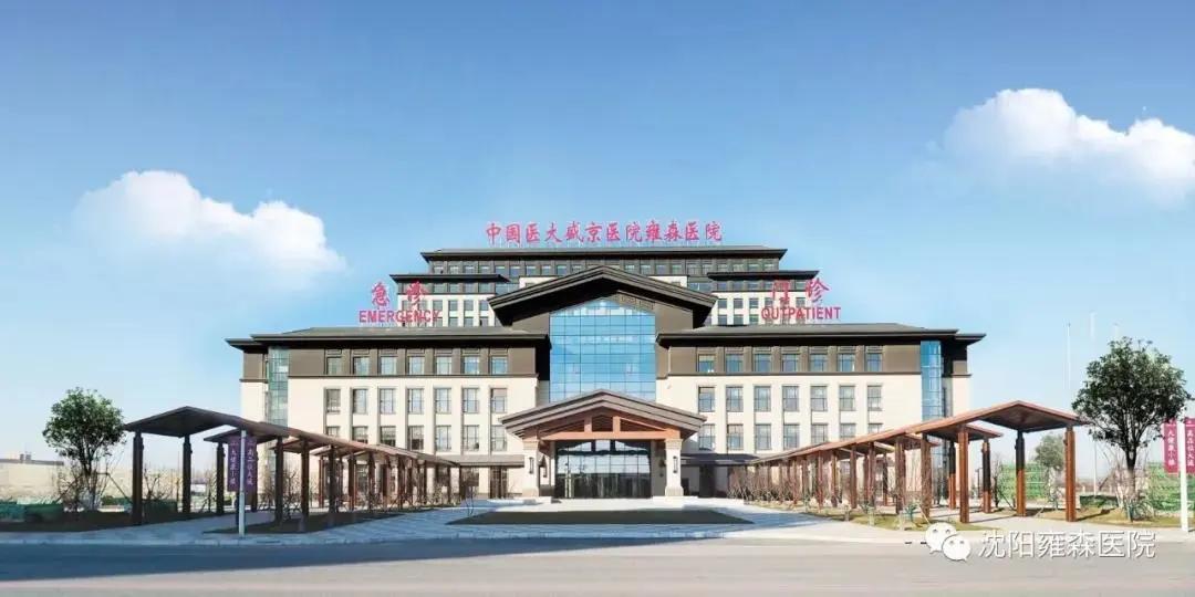 沈北最新招聘，求職全流程指南與招聘信息速遞