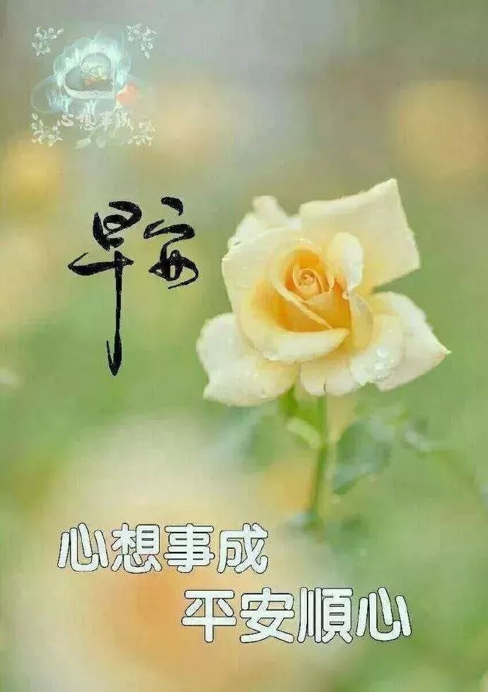 五金交電 第650頁(yè)