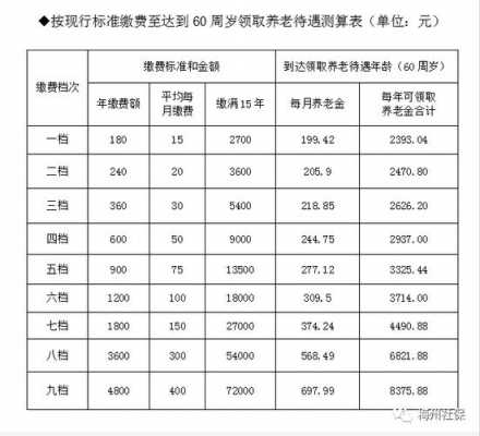 女性養(yǎng)老保險最新規(guī)定詳解，步驟指南與權(quán)益保障全解析