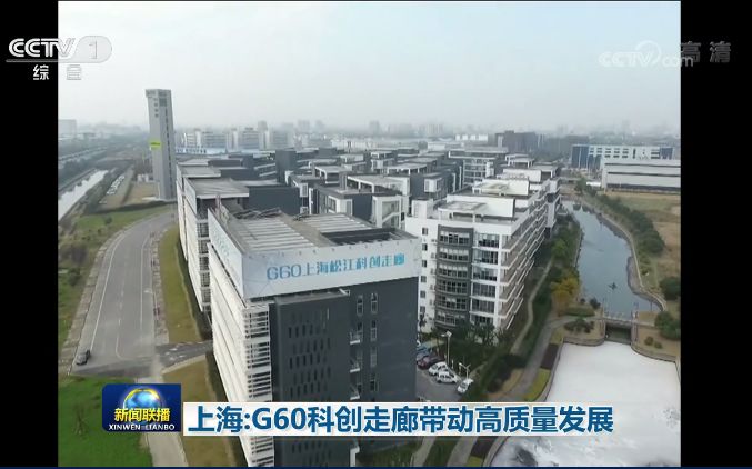 上海松江最新新聞，擁抱自然的心靈之旅