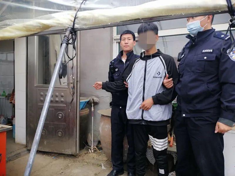 全國最新入室盜竊案深度分析與觀點闡述