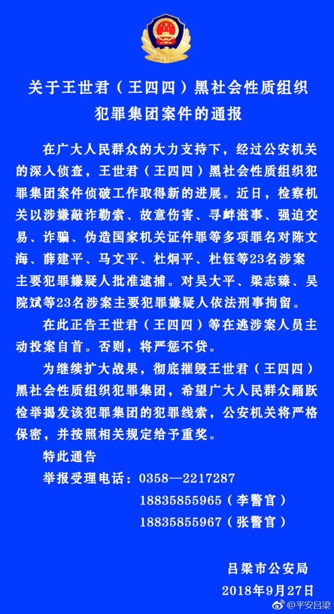 王世君最新情況，多維度視角下的深度觀點(diǎn)分析
