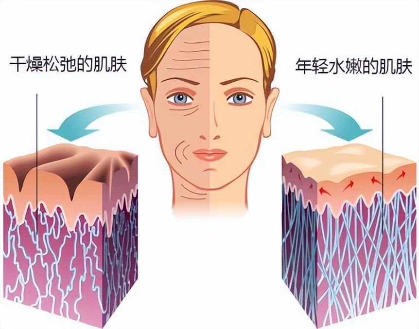 面部提升新風(fēng)尚，奇妙之旅重塑青春笑容