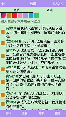 時代背景下的神圣傳承與影響，精讀圣經(jīng)最新版的下載與影響
