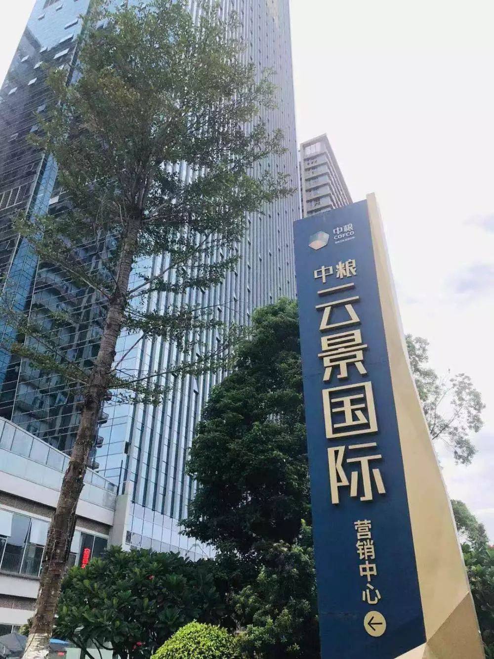 云聯(lián)國際最新動態(tài)揭秘，自然美景之旅，探尋內心平和寧靜之道