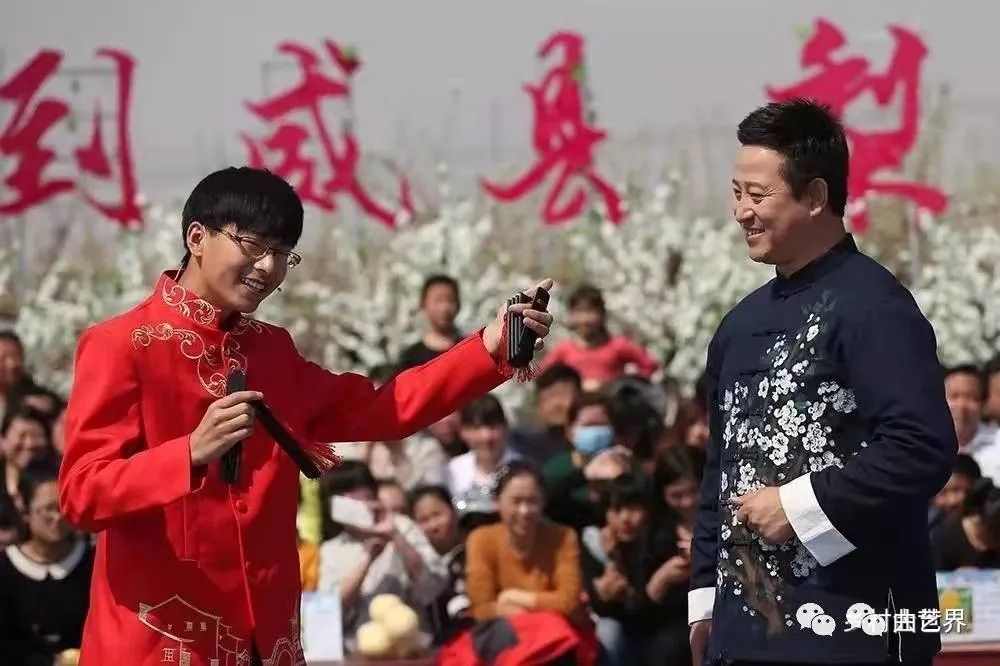 王金龍蓮花落最新全集，違法犯罪問題的警示與反思