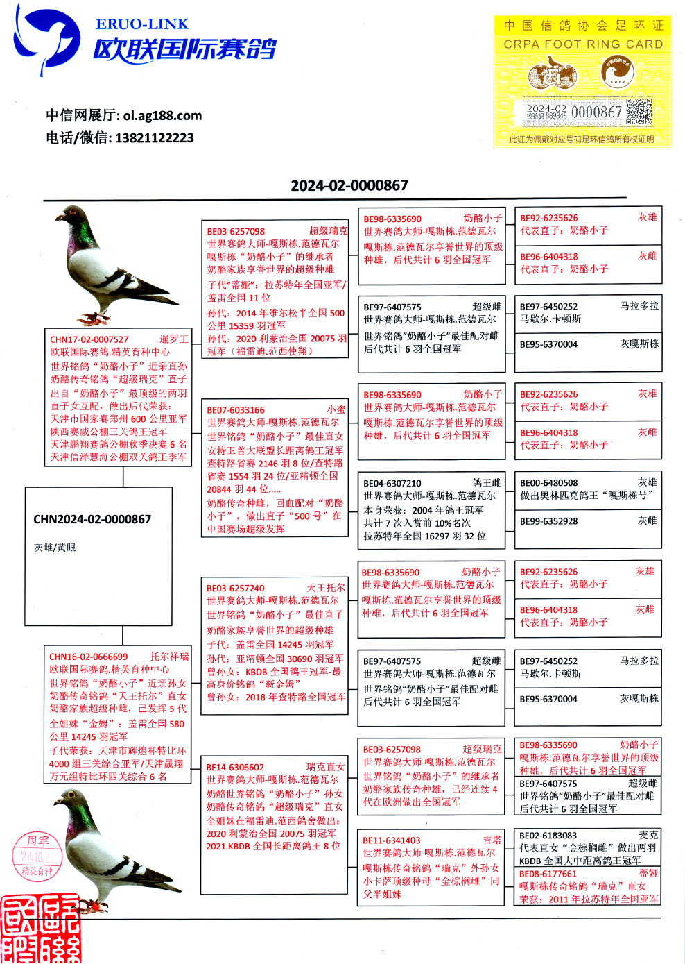 “香港管家婆二四六精準(zhǔn)資料匯編，國際版QWD790.6全新解讀方案”