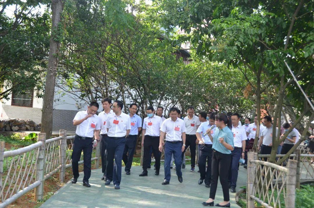 陽朔新城區(qū)最新動態(tài)，新城之家的歡樂日常