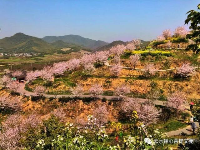 2024新澳一碼預(yù)測(cè)：道玄真人動(dòng)態(tài)詞解，化神境秘籍WRK449.19