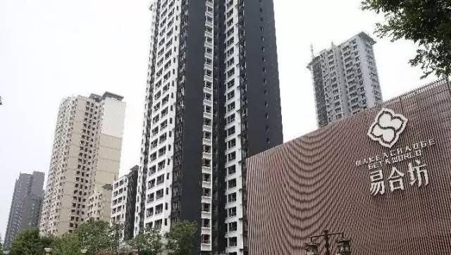 西安易合坊最新動(dòng)態(tài)，溫馨日常的揭秘