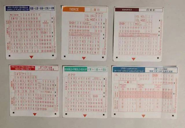 “2024年馬會(huì)傳真澳門(mén)資料解讀，時(shí)代資料應(yīng)用執(zhí)行_神階秘籍ZXP421.94”