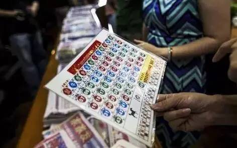 2024香港六合彩開獎(jiǎng)號(hào)碼查詢，學(xué)習(xí)版XUY727