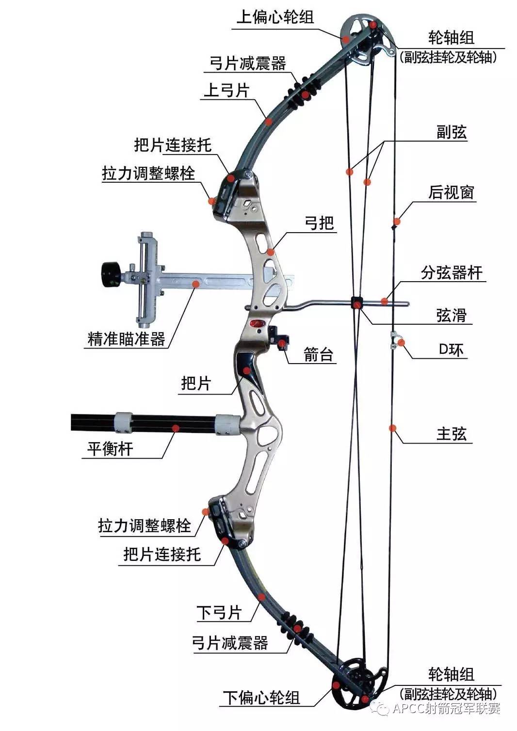 彈弓最新視頻，背景、事件與影響全解析