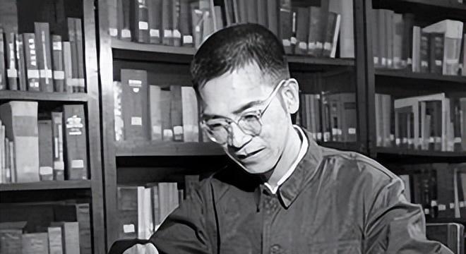 最新數(shù)學(xué)研究成果揭秘，小巷深處的數(shù)學(xué)樂園探索