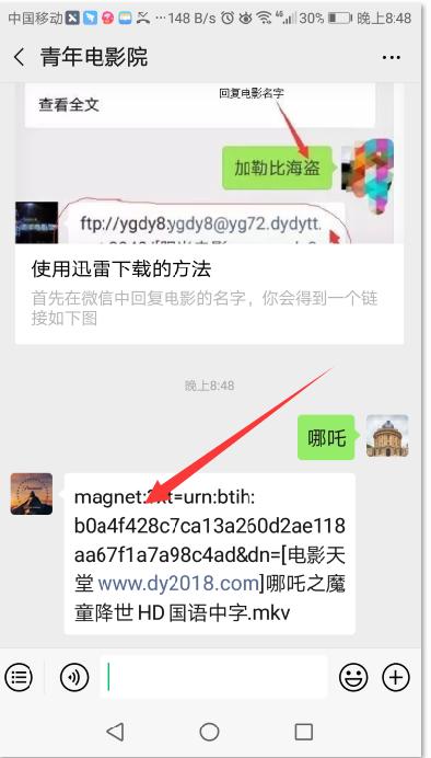 最新電影公眾號(hào)，自然之旅，探尋內(nèi)心平和寧靜的港灣