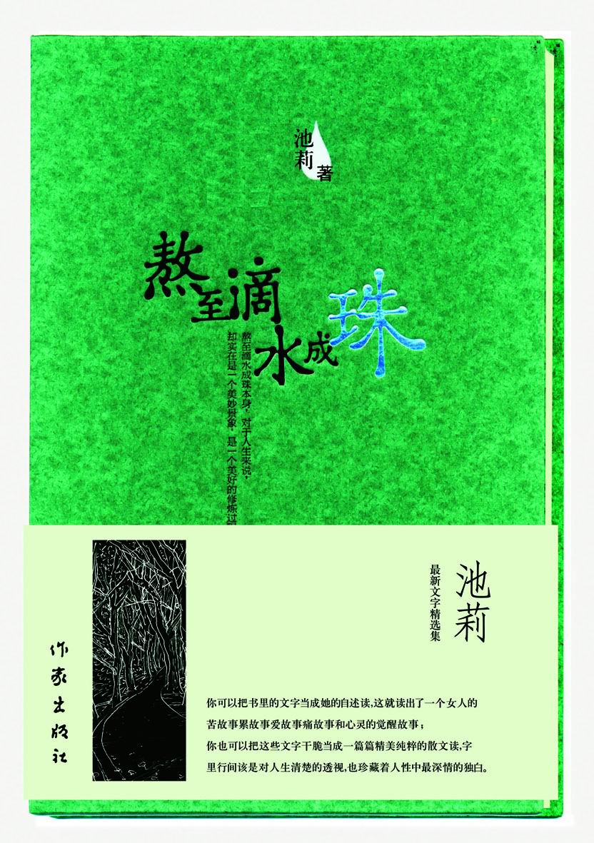 池莉最新高科技作品，引領(lǐng)未來生活新潮流的革新之作