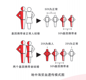 地貧治療最新突破，觀點(diǎn)論述與進(jìn)展報(bào)告