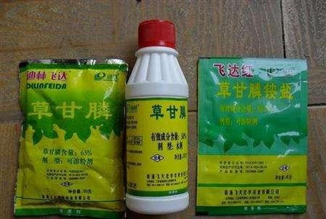 甘草膦最新價格及小巷中的神秘寶藏揭秘