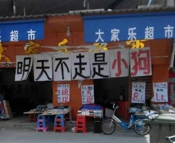 信中利最新公告揭秘，小巷深處的獨特風味，必探特色小店！