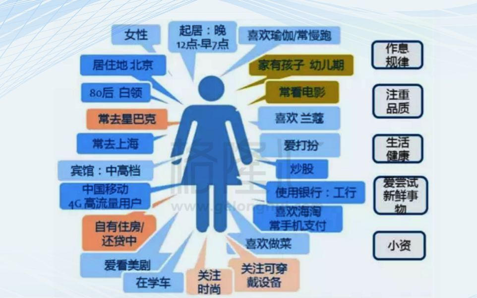 新澳全年免費(fèi)資料大全,應(yīng)用安全解析BFN180.584洞虛境