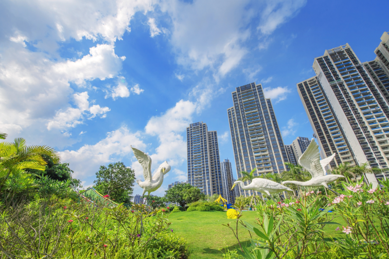 新澳資彩免費資料大王，園林景觀之美AUV122.17