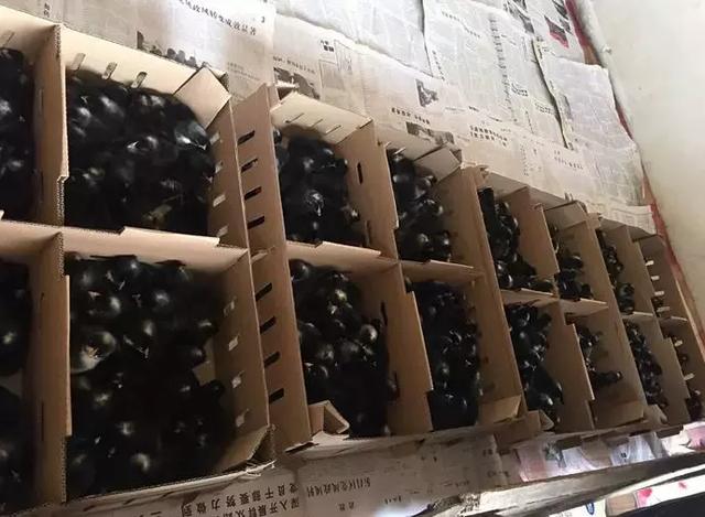 新澳門今晚必開一肖一特,鑄件綜合質(zhì)量評判_個性版ACU323.264