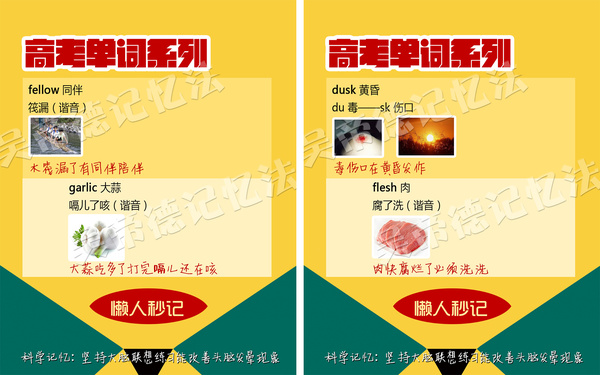 新奧精準(zhǔn)資料免費(fèi)提供,毛巾詞語解析LGO678.523帝宮境
