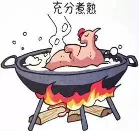最新禽流感報(bào)道2024，禽流感季節(jié)的溫馨故事與關(guān)注