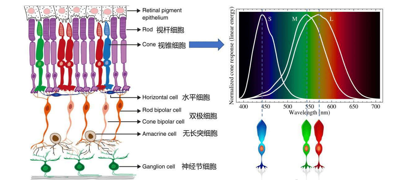 新澳資料免費(fèi)共享，自然科學(xué)概念詳解_QIR423.98超凡秘籍