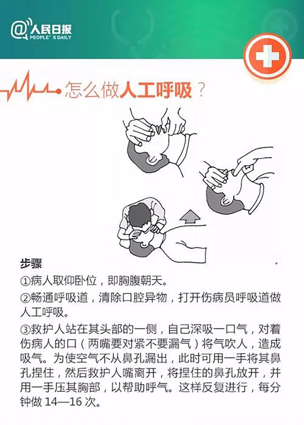 心肺操作視頻最新版，小明的奇妙學(xué)習(xí)之旅與友情紐帶的心肺操作指南