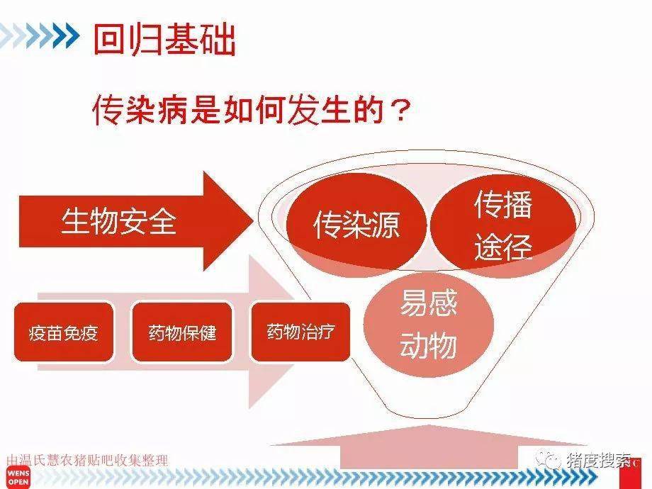 正版資料全年資料大全,生物安全的警鐘解析課件XDW134.376大羅真仙