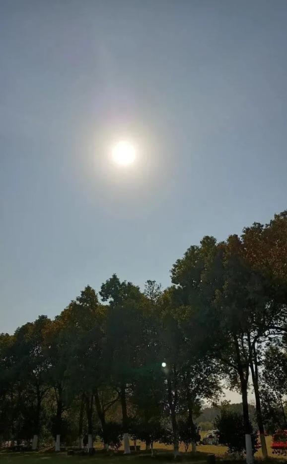 超日太陽最新動態(tài)，陽光下的溫暖日常更新。