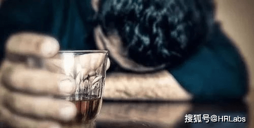 酒精最新價格背后的友情與陪伴的溫馨故事