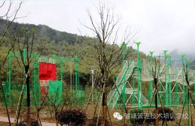 逢坂愛(ài)的最新動(dòng)態(tài)與魅力探索
