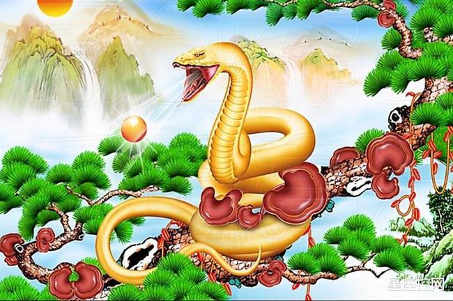 今天晚上澳門三肖兔羊蛇,生活資料購(gòu)買決策_(dá)16.89.2孫佳俊