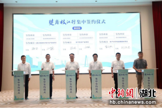 枝江最新新聞報道匯總
