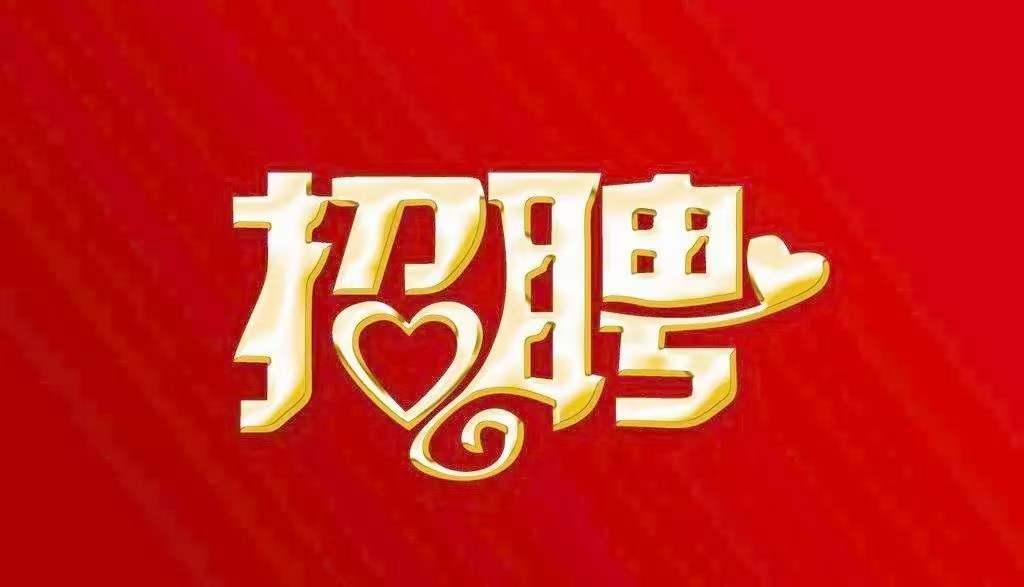 河間招工最新信息，探尋最新招聘信息的奇妙旅程