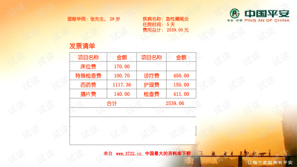 汽車飾品的銷售 第524頁
