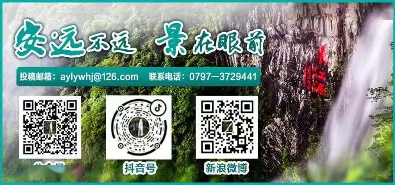安遠(yuǎn)公安最新通緝令，綠色旅行尋找內(nèi)心平靜之路