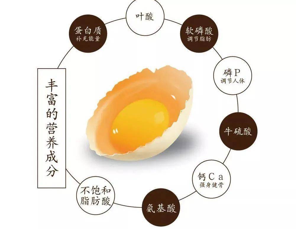 北京今日雞蛋價格揭秘，一段溫馨的友情故事