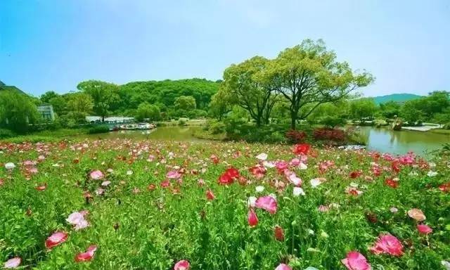 無(wú)錫星湖花海最新房?jī)r(jià)揭秘，科技賦能生活，矚目登場(chǎng)！