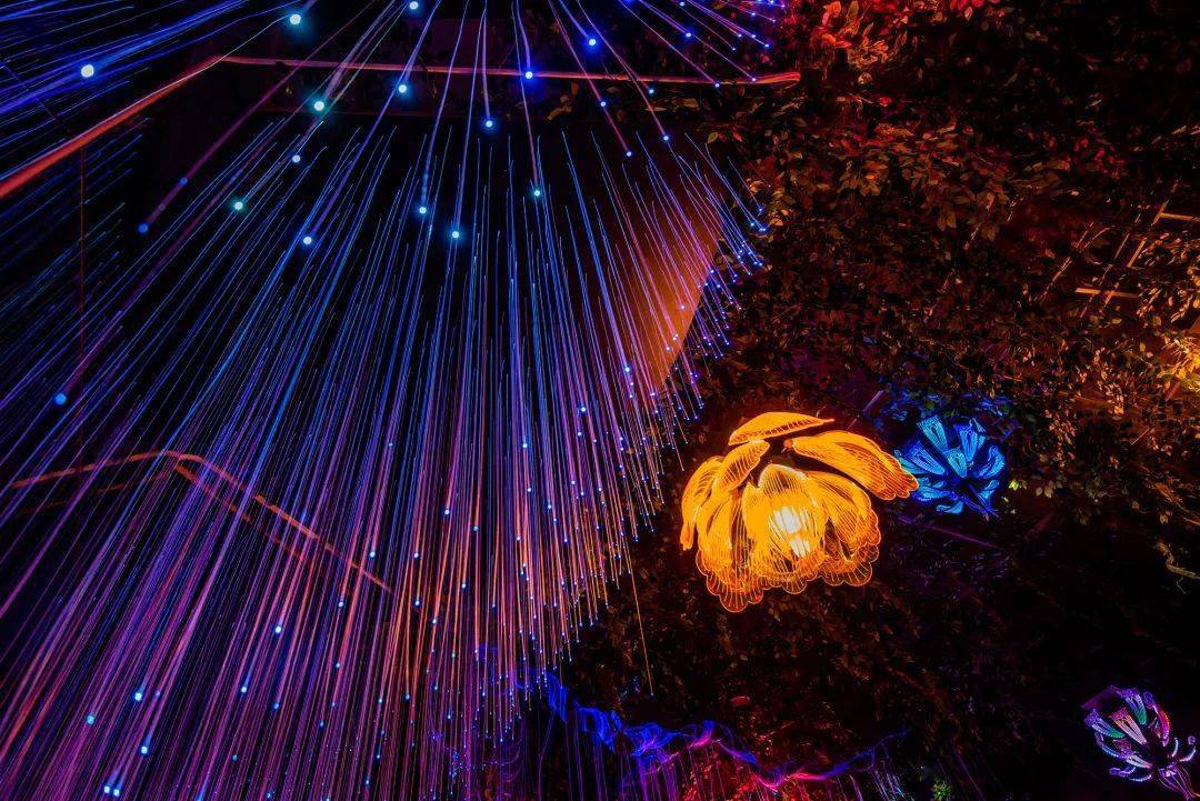 星光隧道最新動(dòng)態(tài)，宇宙之旅，尋找內(nèi)心平靜之旅