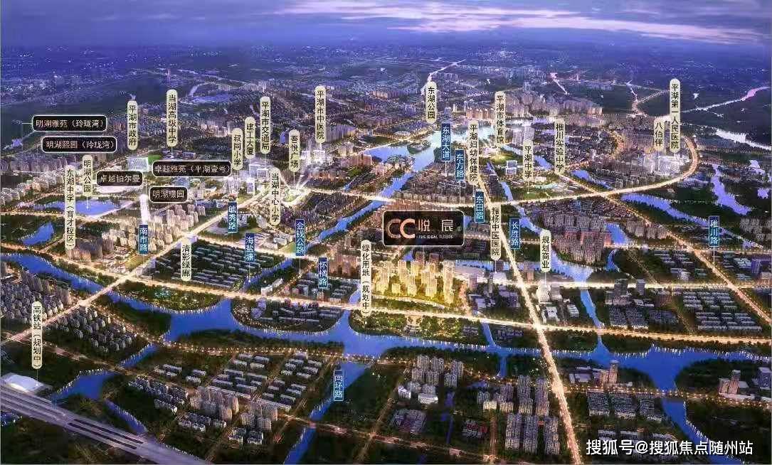 山東萊蕪大蒜最新行情報(bào)告，價(jià)格動(dòng)態(tài)更新揭秘
